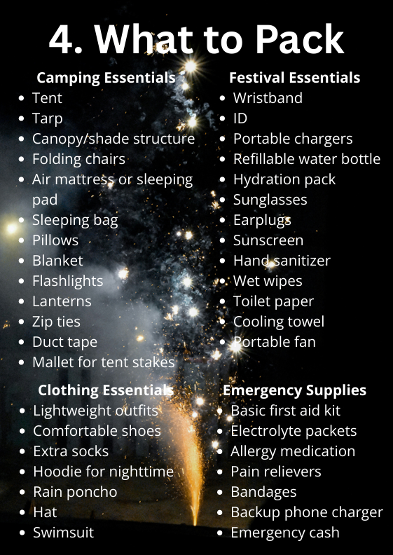 The Bonnaroo Group Guide - The Ultimate Handbook for an Unforgettable Weekend on the Farm