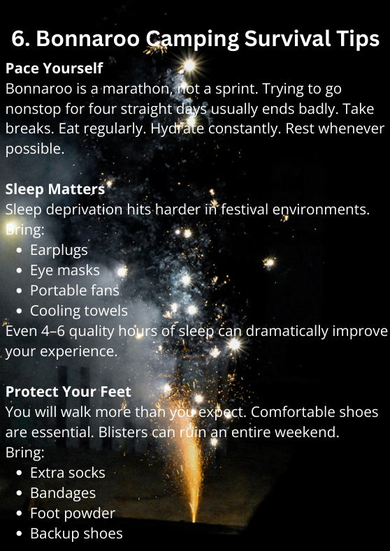 The Bonnaroo Group Guide - The Ultimate Handbook for an Unforgettable Weekend on the Farm